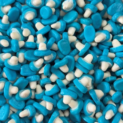 Bubblegum Mushrooms- Box of 12